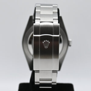 9 Rolex oyster perpetual 41mm silver 124300 9371_resultado
